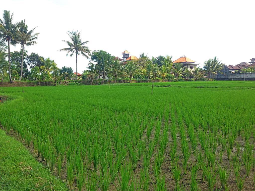 Rena House Ubud מראה חיצוני תמונה